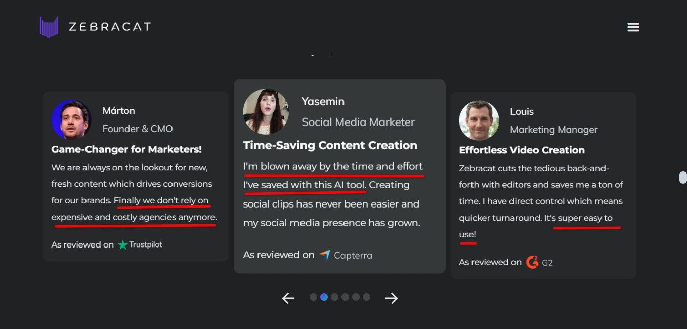 Customer testimonials for Zebracat.