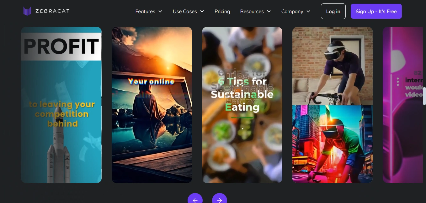 Zebracat's webpage displaying various video themes.