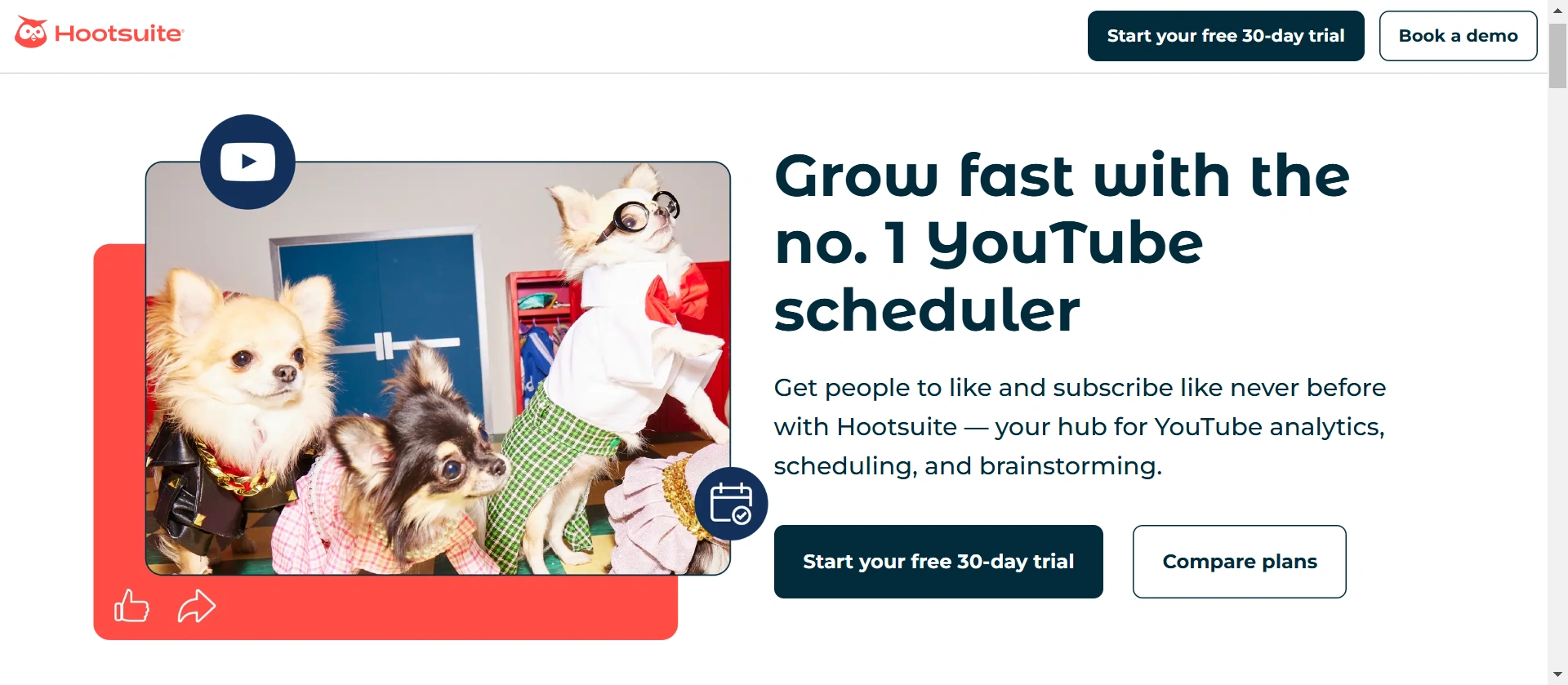 Hootsuite's webpage interface.