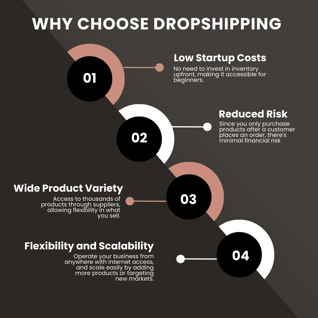 Infographic on why choose dropshipping.