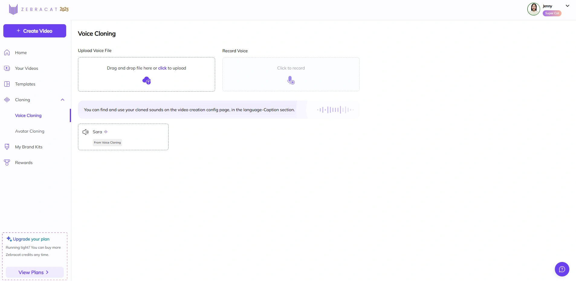 Zebracat's voice cloning interface.