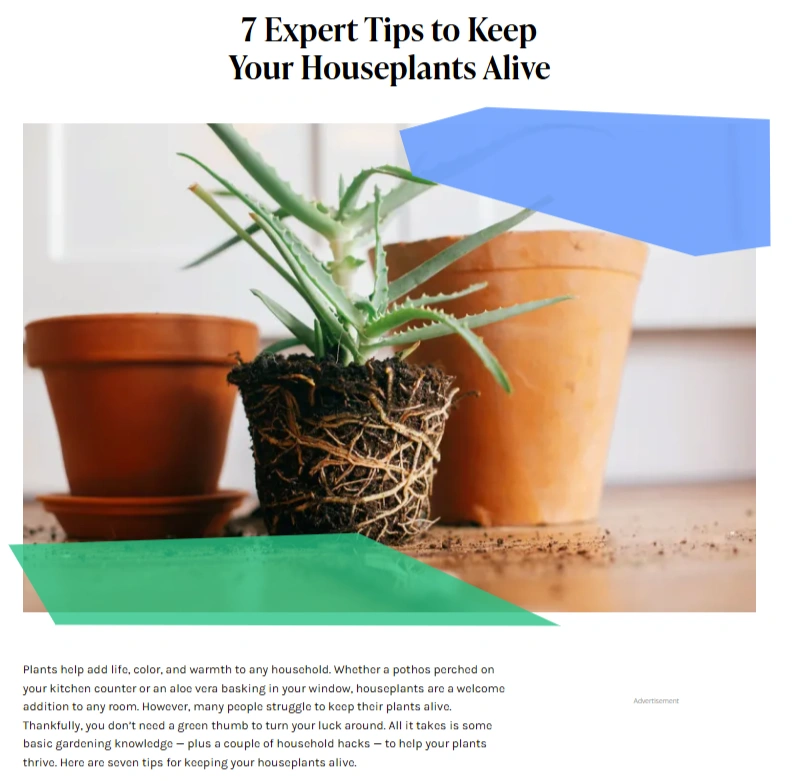 Article featuring tips to keep houseplants alive.