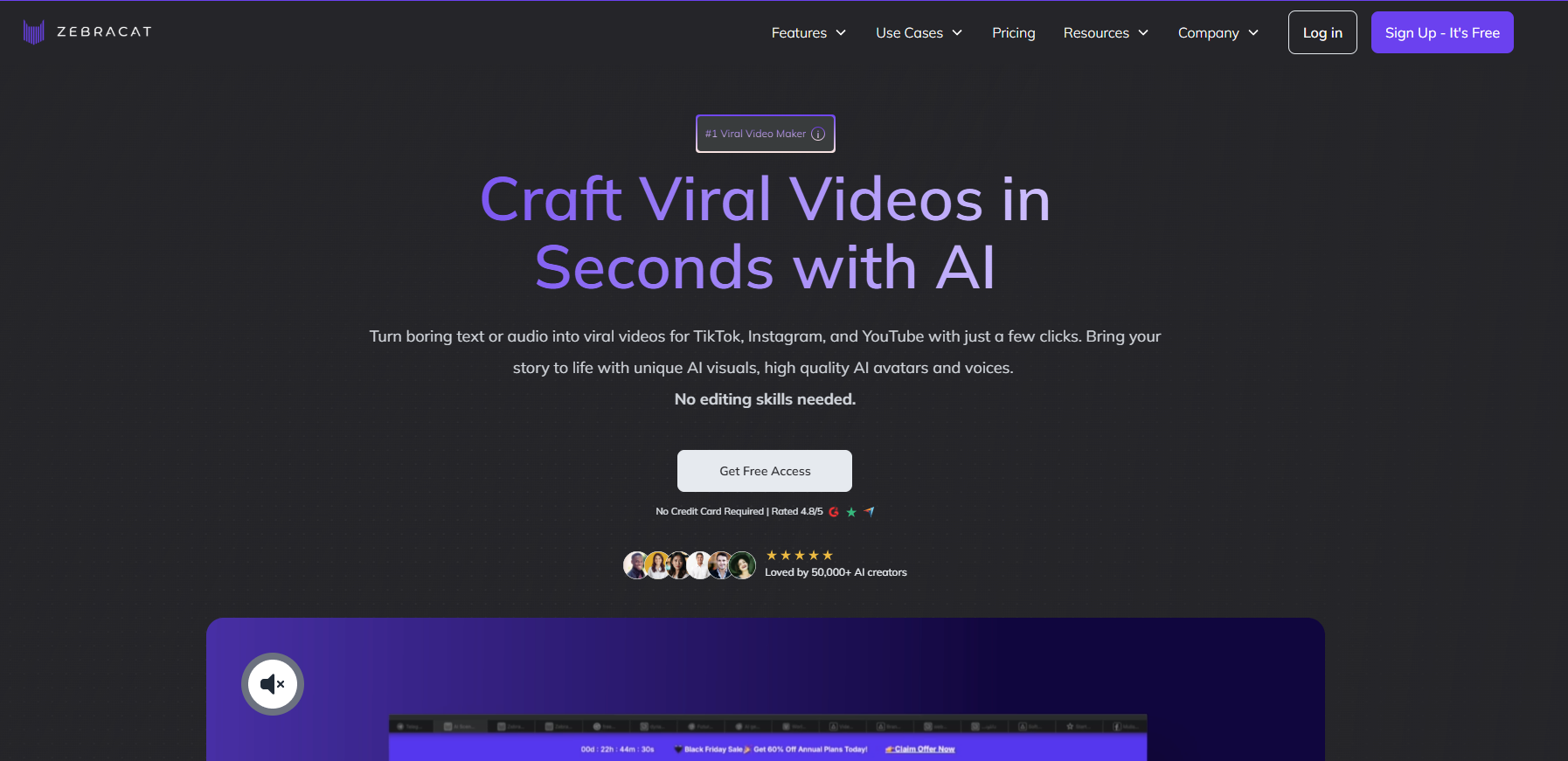 Zebracat's home page.