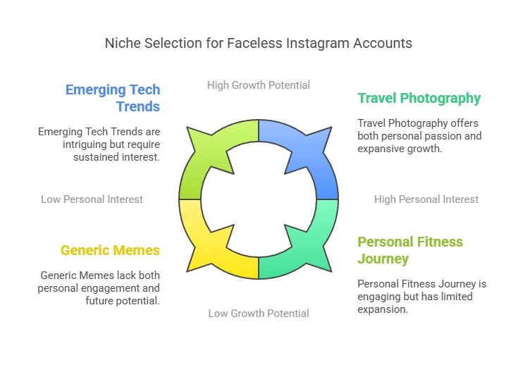 Infographic on niche selection for faceless Instagram accounts.