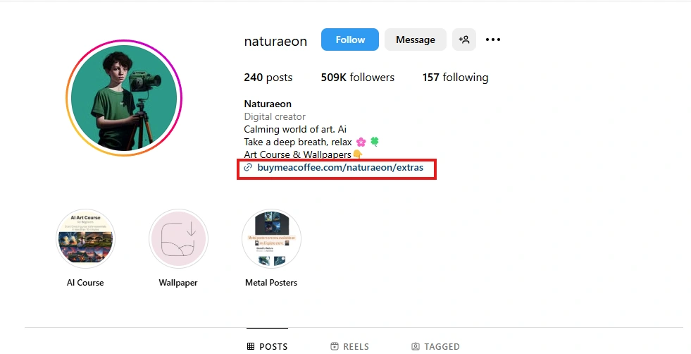 Natureaon's Intagram feed.