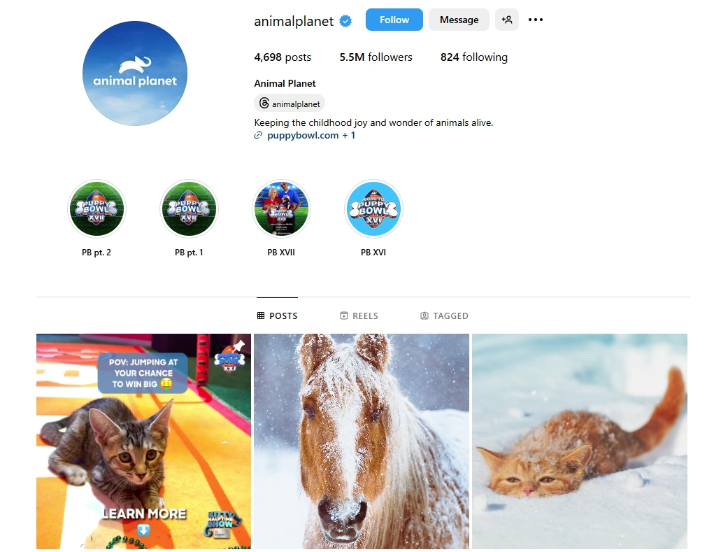 Animalplanet's Instagram.