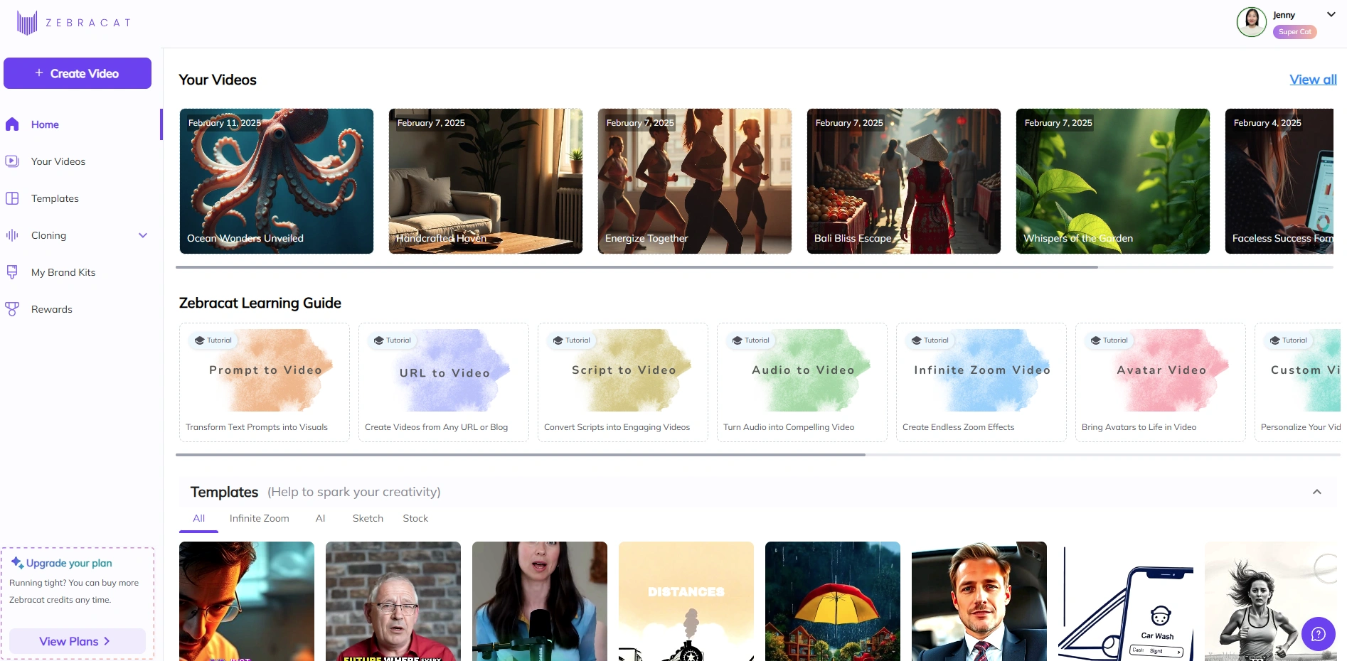 Zebracat video gallery page.