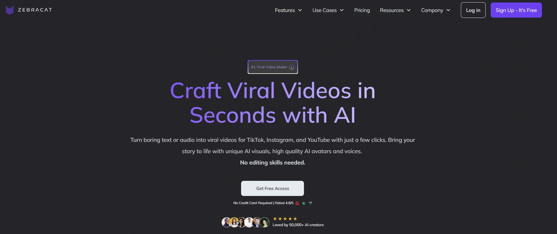 Homepage of Zebracat.