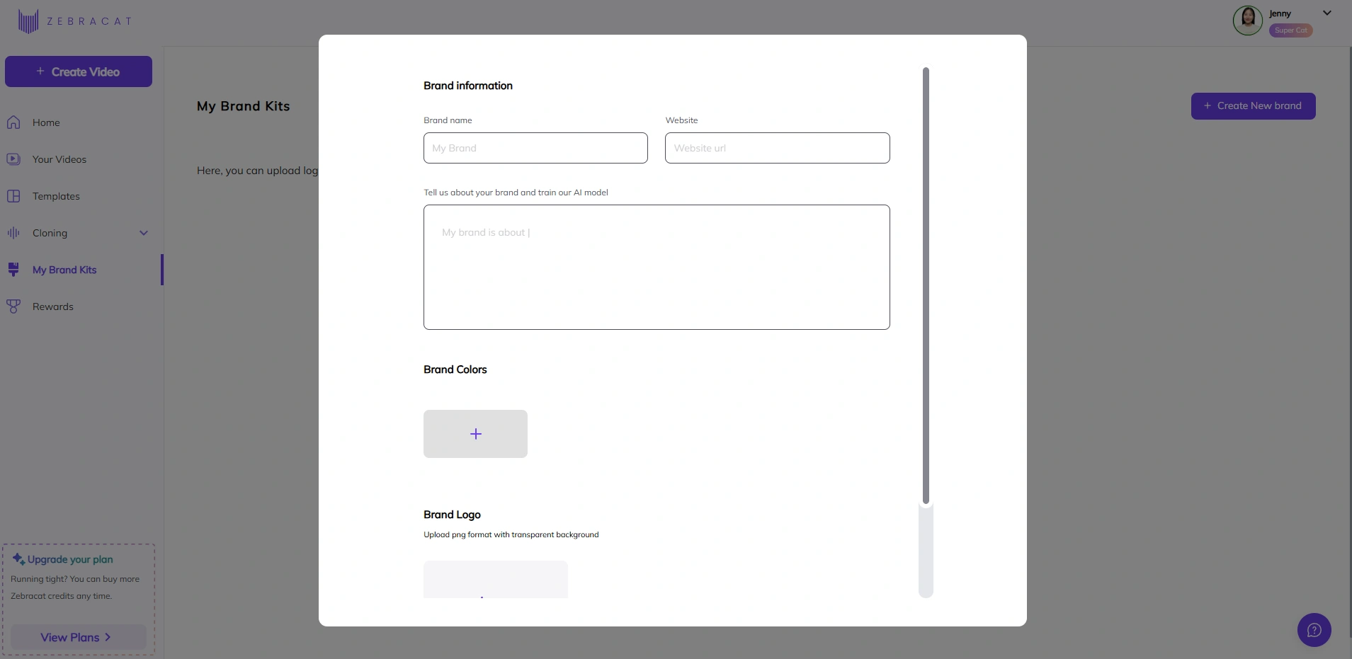 Zebracat's brand kits section.
