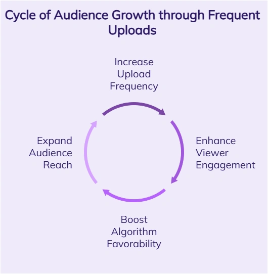 The cycle of audience growth through frequent uploads.