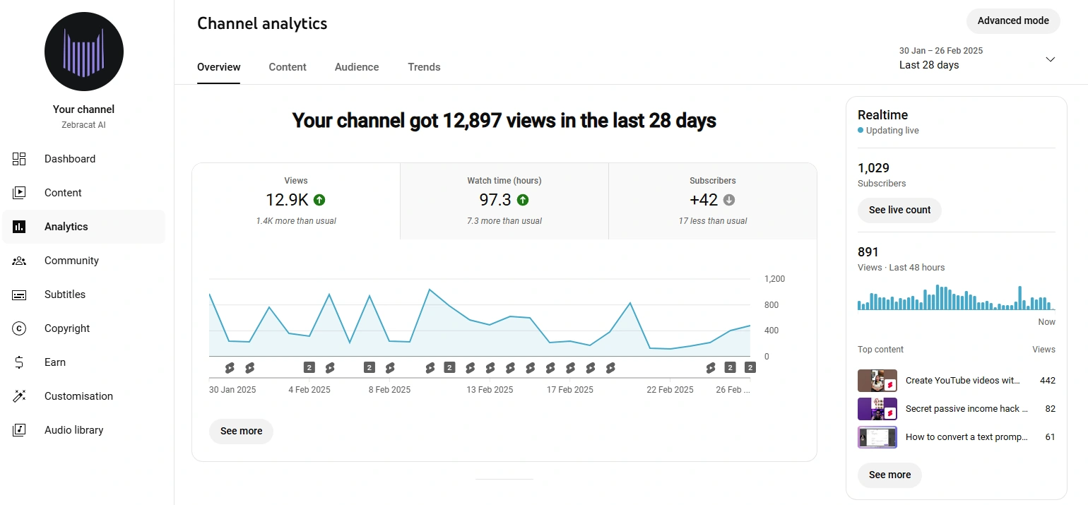 Zebracat's YouTube analytics.