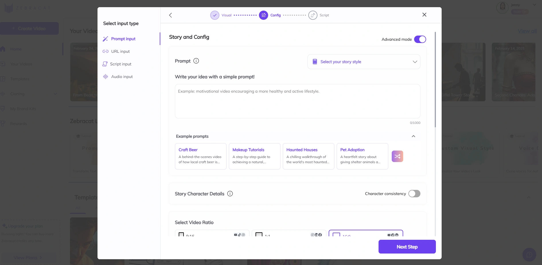Zebracat's video prompt input page.