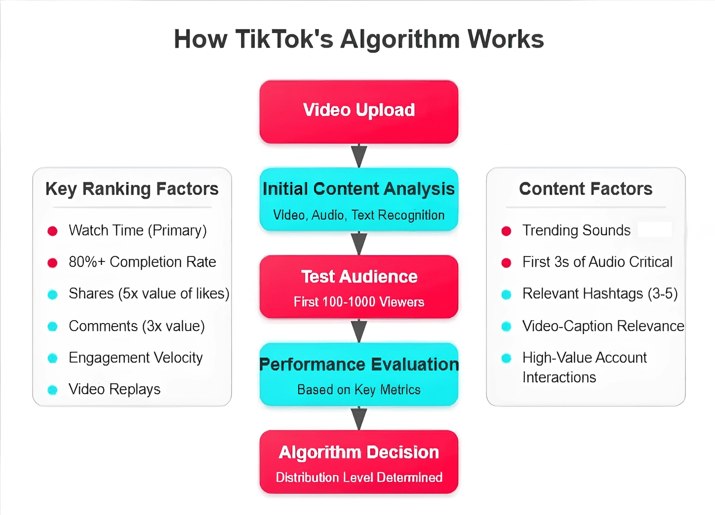 Diagram on how TikTok's algorithm works.