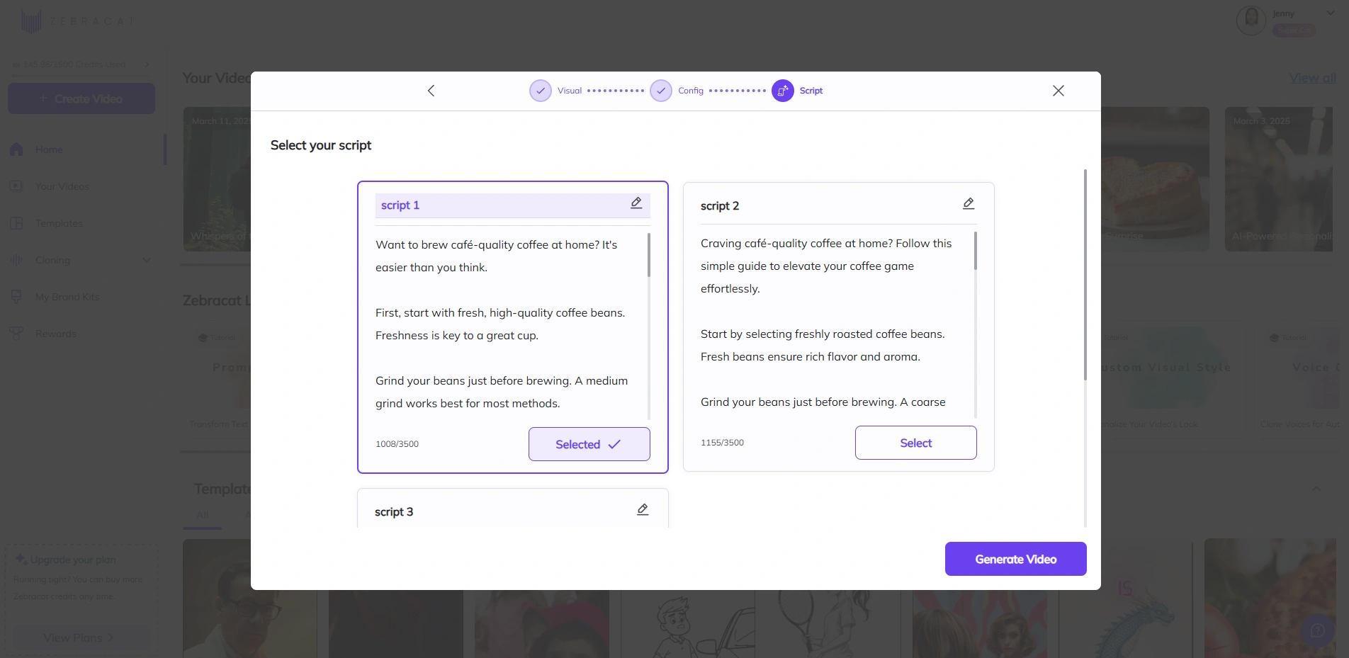 Zebracat's script style selection interface.