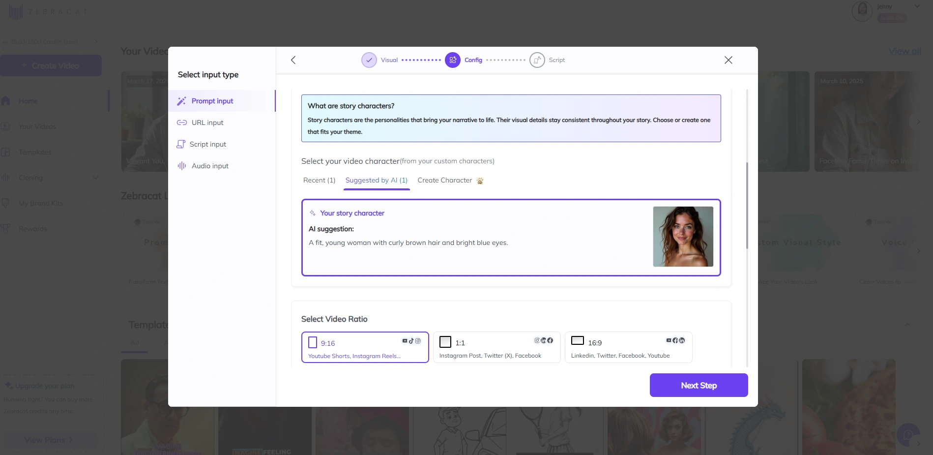 Zebracat's prompt input interface.