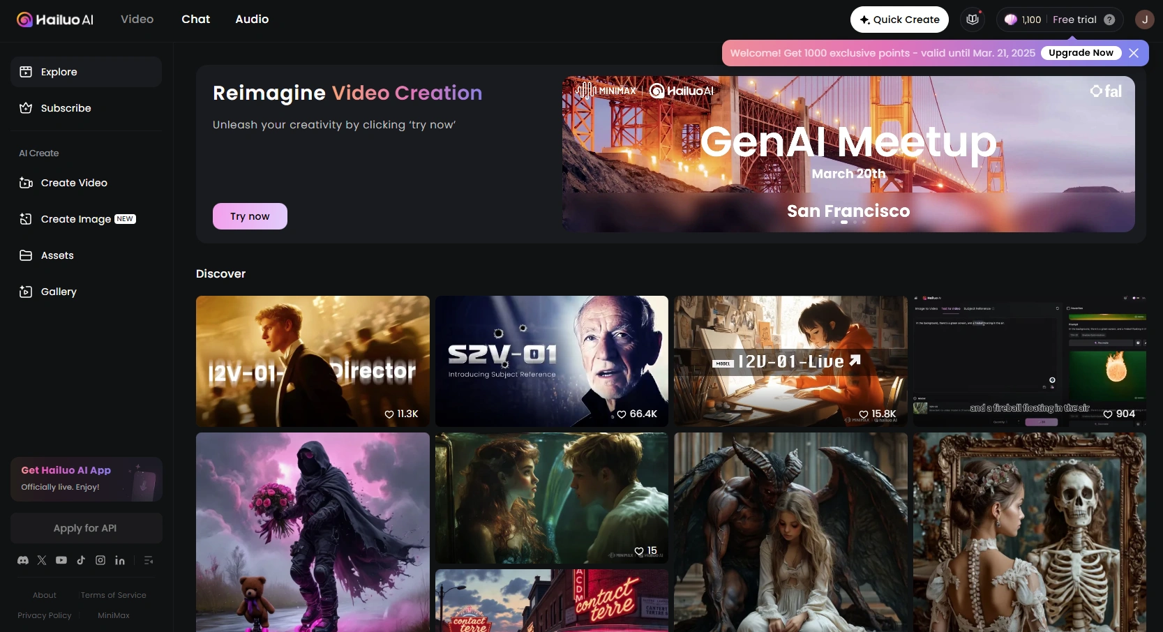 HallouAI.Video's UI.