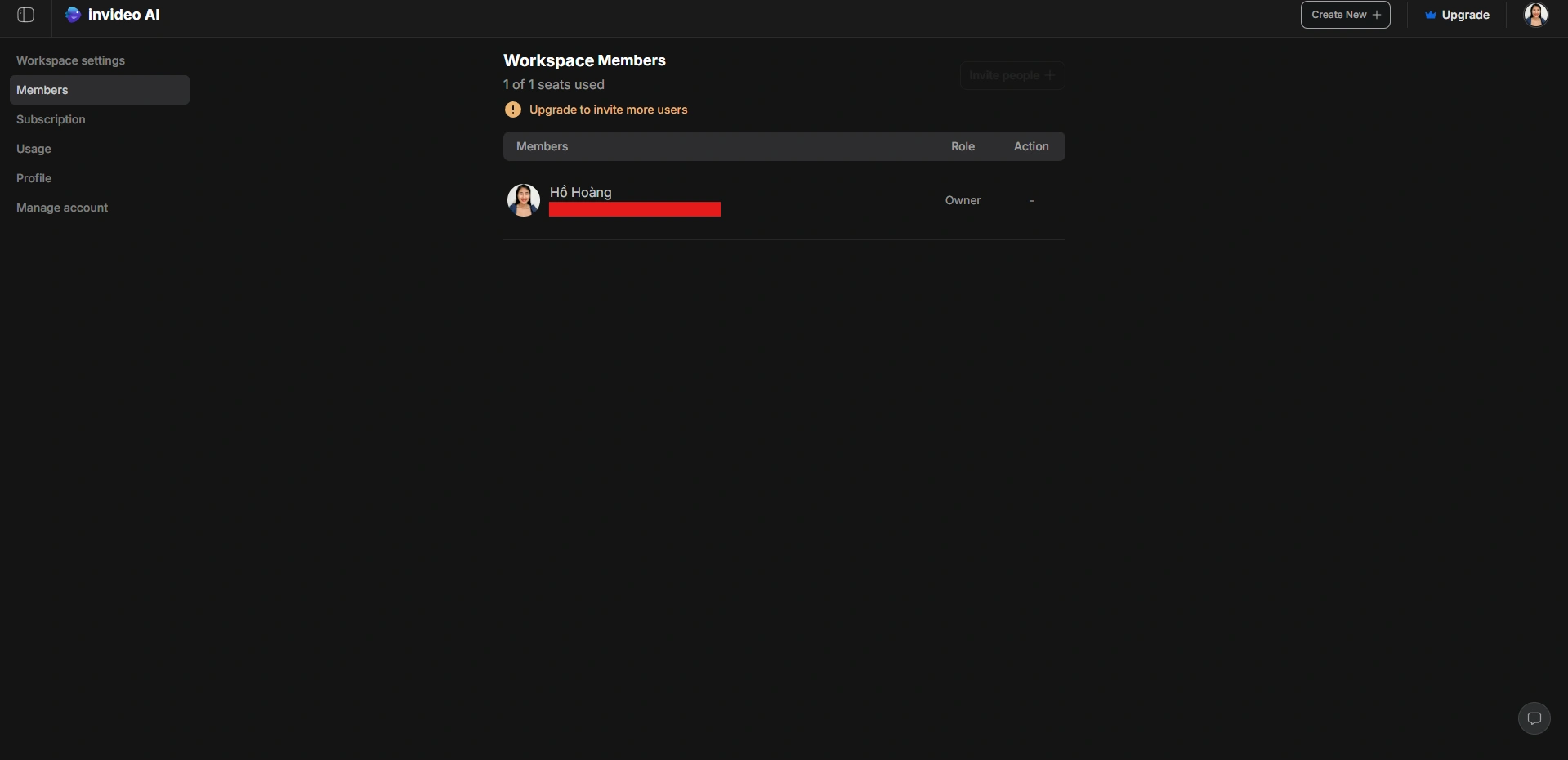 InVideo workspace member list.